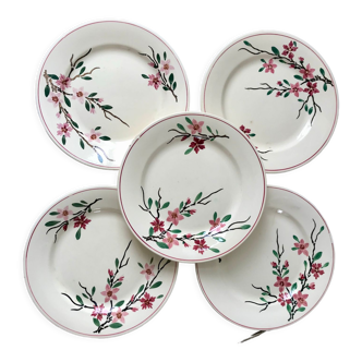 5 flat plates Digoin Sarreguemines model Aigues-Vives hand painted years 30-40