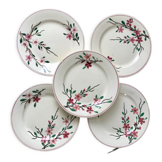 5 assiettes plates Digoin Sarreguemines modèle Aigues-Vives peintes à la main années 30-40