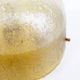 Brass and muranoglass 'Citrus' flush mount light by Hillebrand