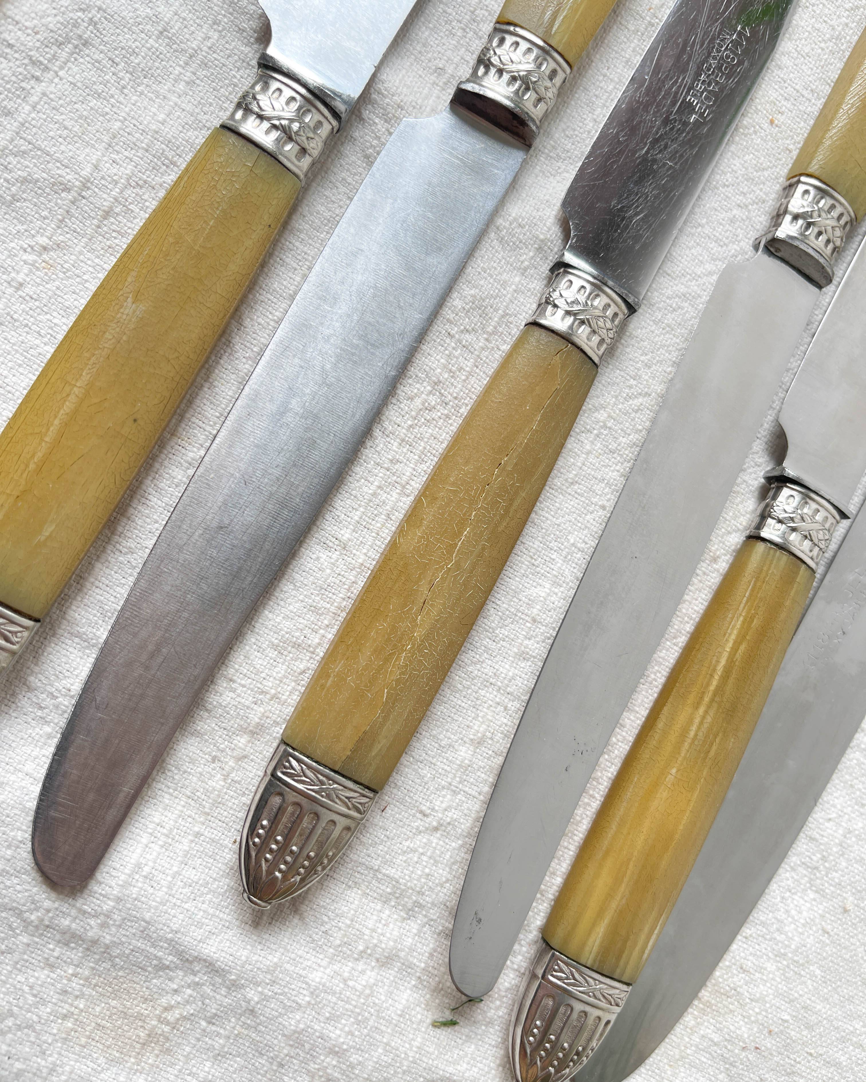 12 couteaux vintage bakélite Inox Pradel