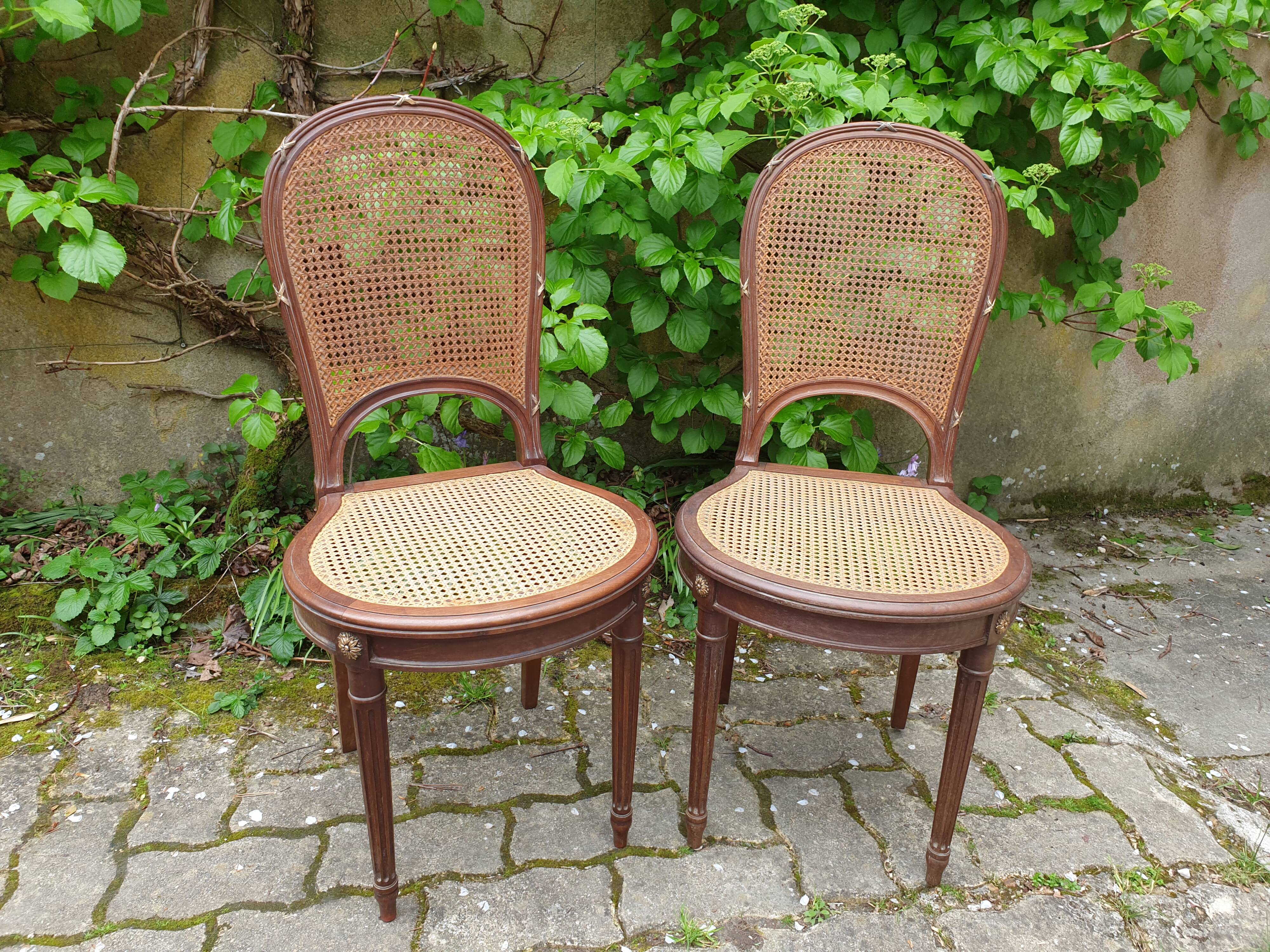 Louis XVI canning chairs