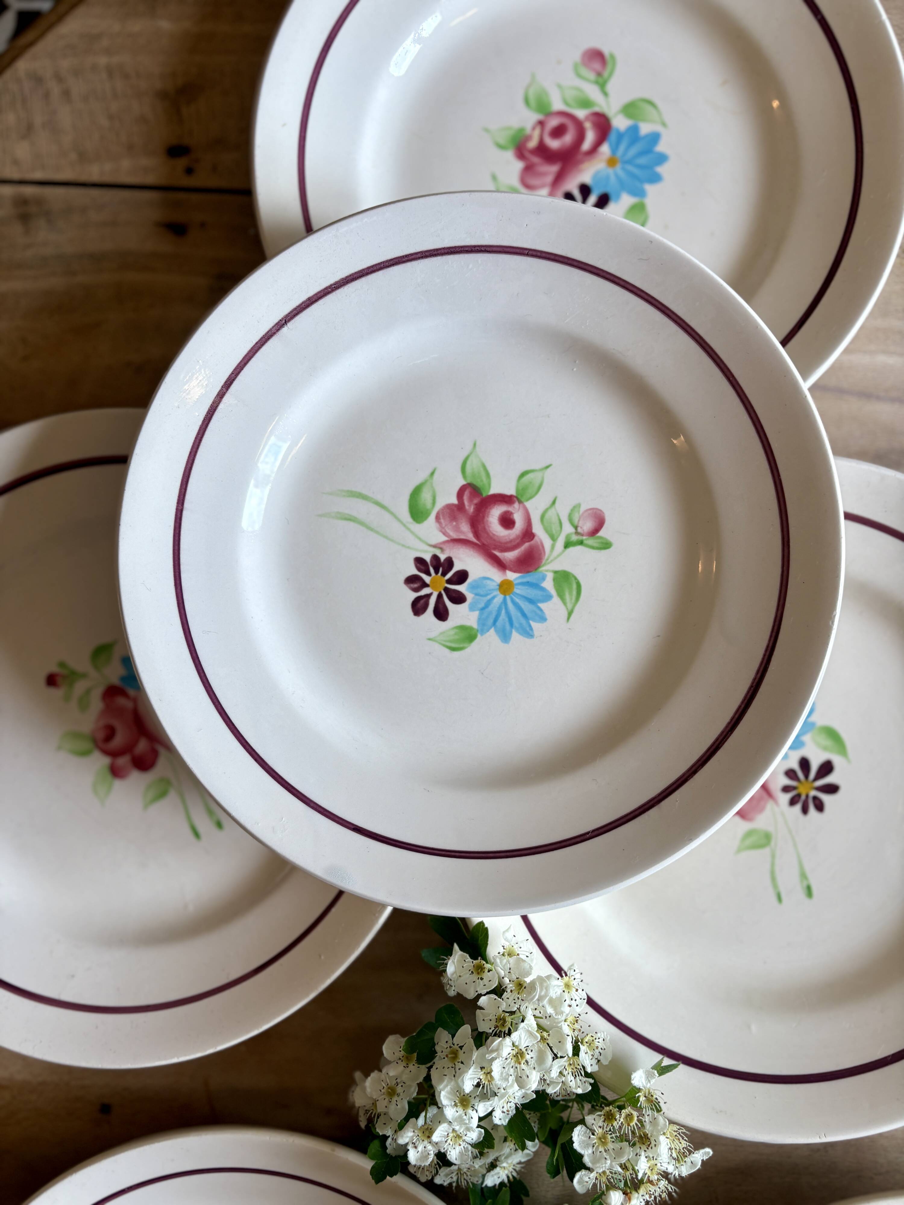 Set of 6 vintage dinner plates, Macon de Nidervillier model