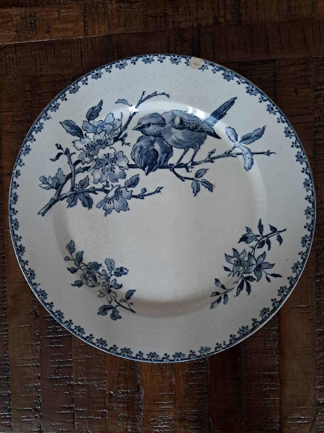Sarreguemines Flat Plates Favorite Blue Model