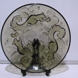 Dish