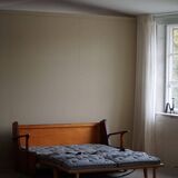 Modern Swedish two-seater independent sofa bed in pine and lambswool, 1950s.