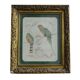 Dessin ancien français d'oiseaux, encadré