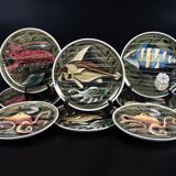 Fish and shellfish plates ceramic Italy vintage 1970 x8