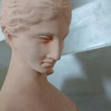 Terracotta bust of a woman