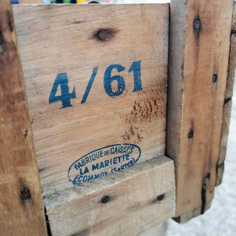 Case carries wooden bottles