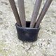 Libellule folding stool