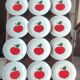 12 Vintage Plates Red Apple Decor Weiden Bavaria Seltmann/West Germany