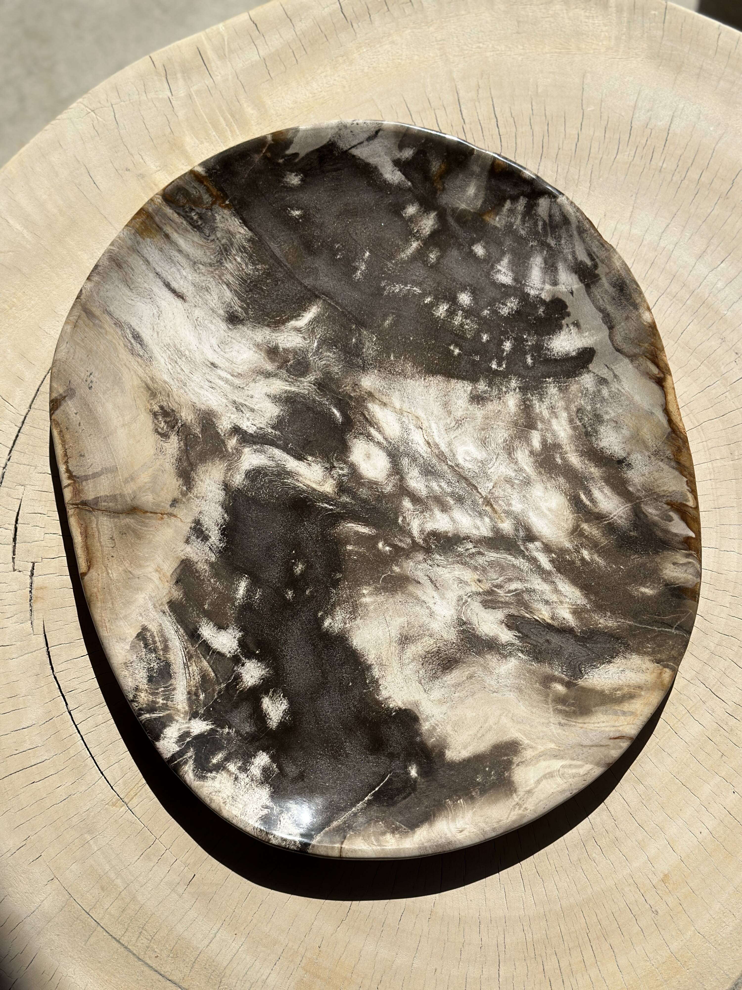 Very large pocket or dish in petrified wood