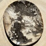 Very large pocket or dish in petrified wood