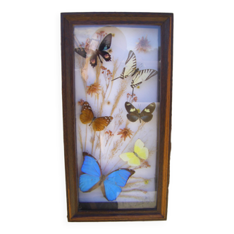 Butterfly frame