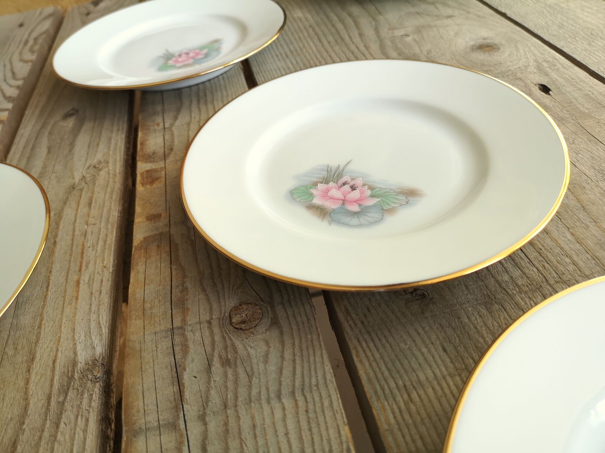 6 small plates signed Limoges France with nenuphar decor and golden border