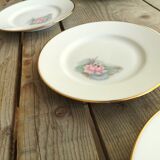 6 small plates signed Limoges France with nenuphar decor and golden border