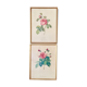 2 framed botanical posters