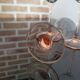 4 Luminarc white wine glasses with pink feet