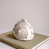 Shellfish