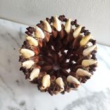 Shell vase