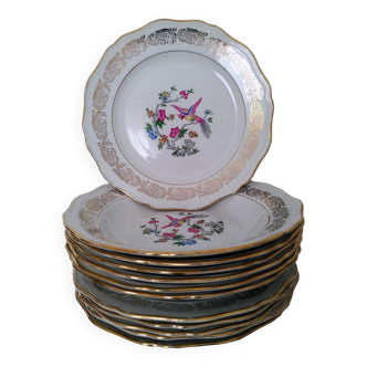 Set de 12 assiettes porcelaine L'Amandinoise