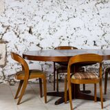 Baumann extendable round table
