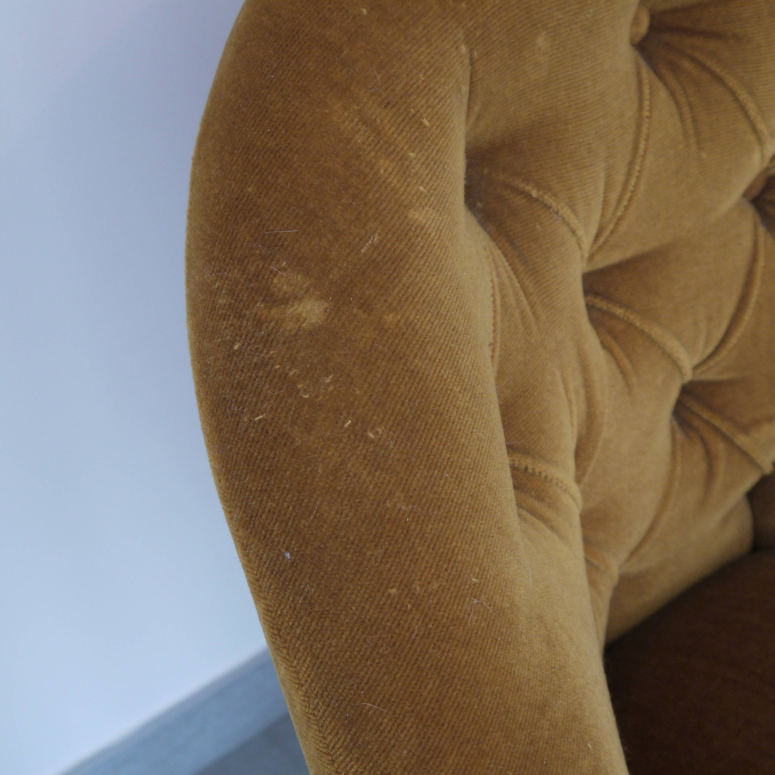 Yellow velvet padded toad armchair
