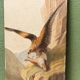 Oil on canvas, eagle and its prey, 19th century