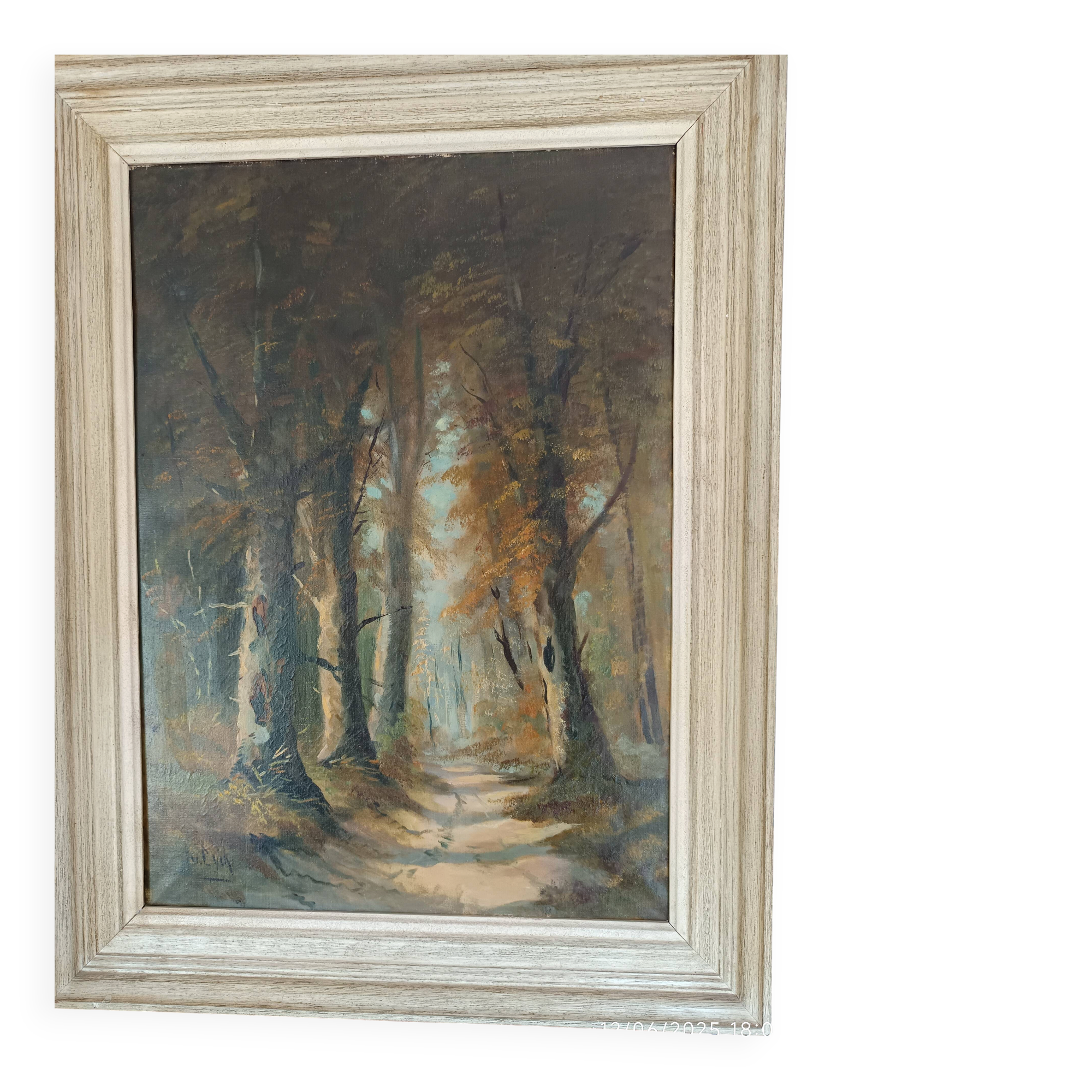 Adolf Philippus van Dijk (1859-1924) – Oil on canvas – Forest landscape
