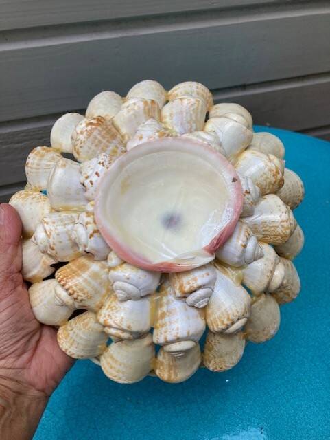 Shell bowl from the 1960s.
