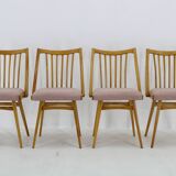 1960s Antonin Suman Set of Four Dining chairs in Beech Wood , Czechoslovakia