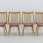 1960s Antonin Suman Set of Four Dining chairs in Beech Wood , Czechoslovakia