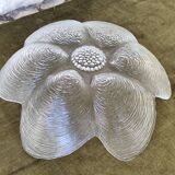 Oyster shaped glass salad bowl