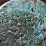 Green Accolay ceramic vase