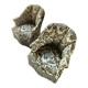 Pair of toad armchairs