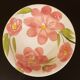 Lot de 3 assiettes creuses Made in Italy