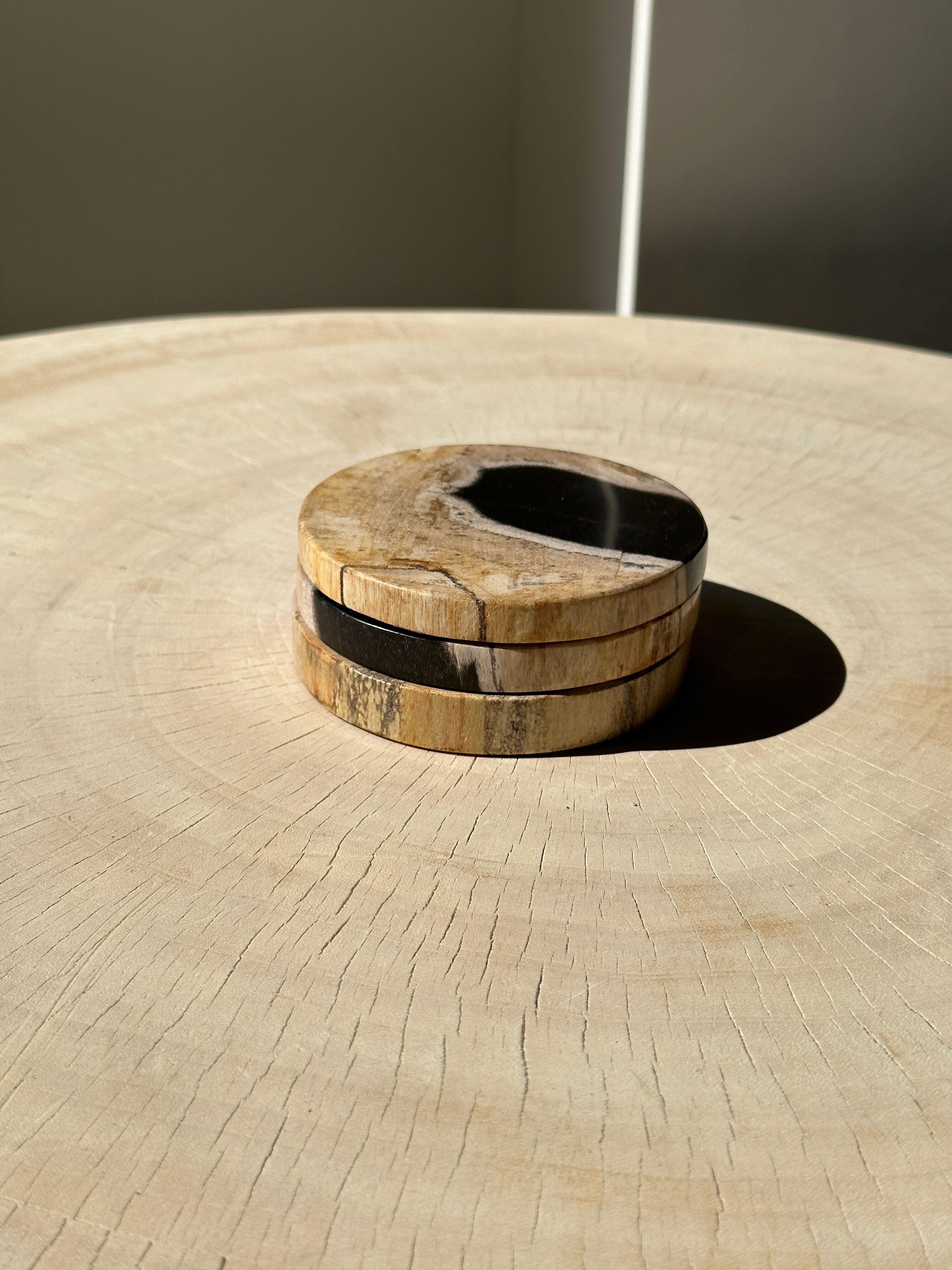 Set of 3 fossilized wooden coasters (clear)