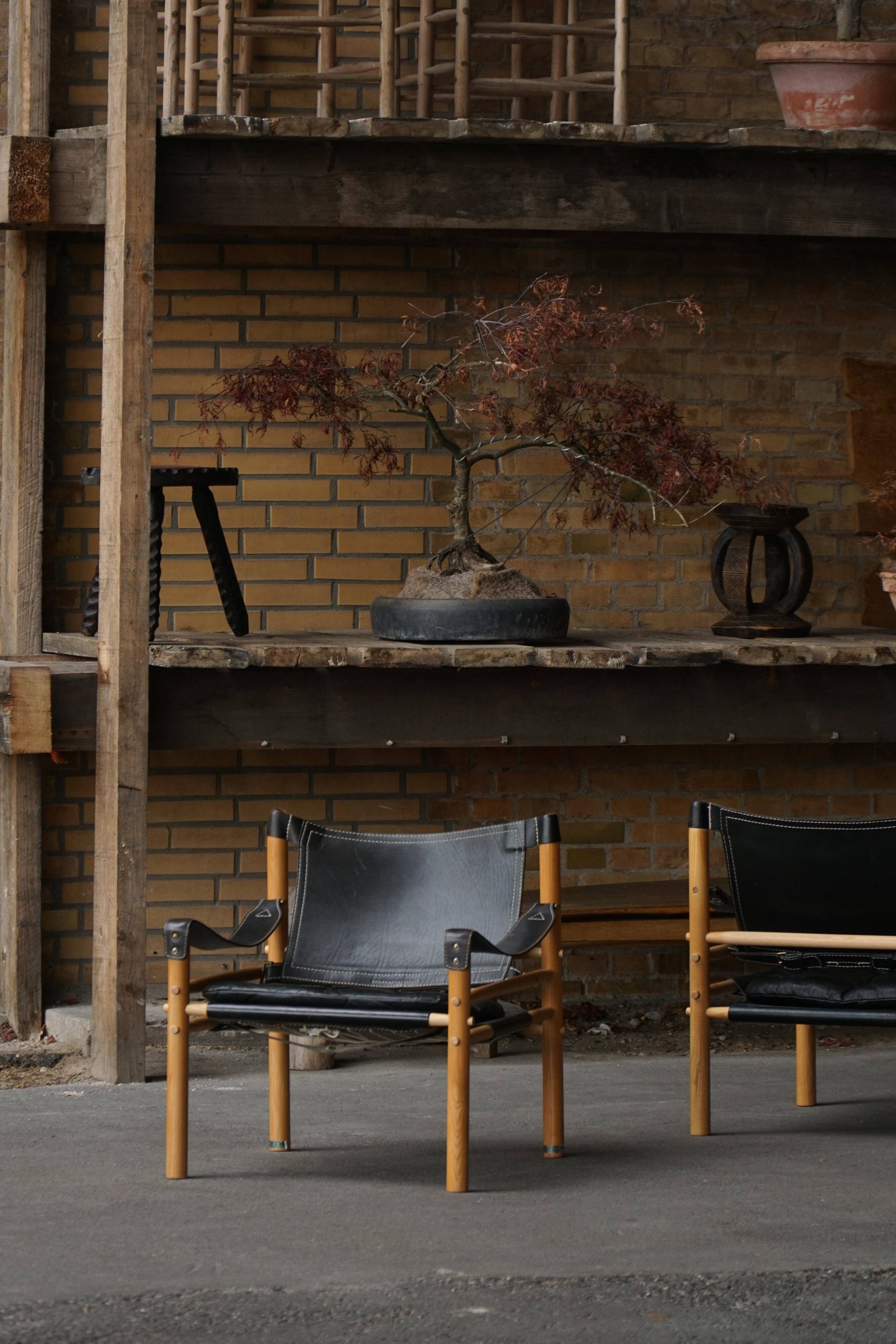 Set of Sirocco safari chairs by Arne Norell for Arne Norell AB, Sweden, 1960s.