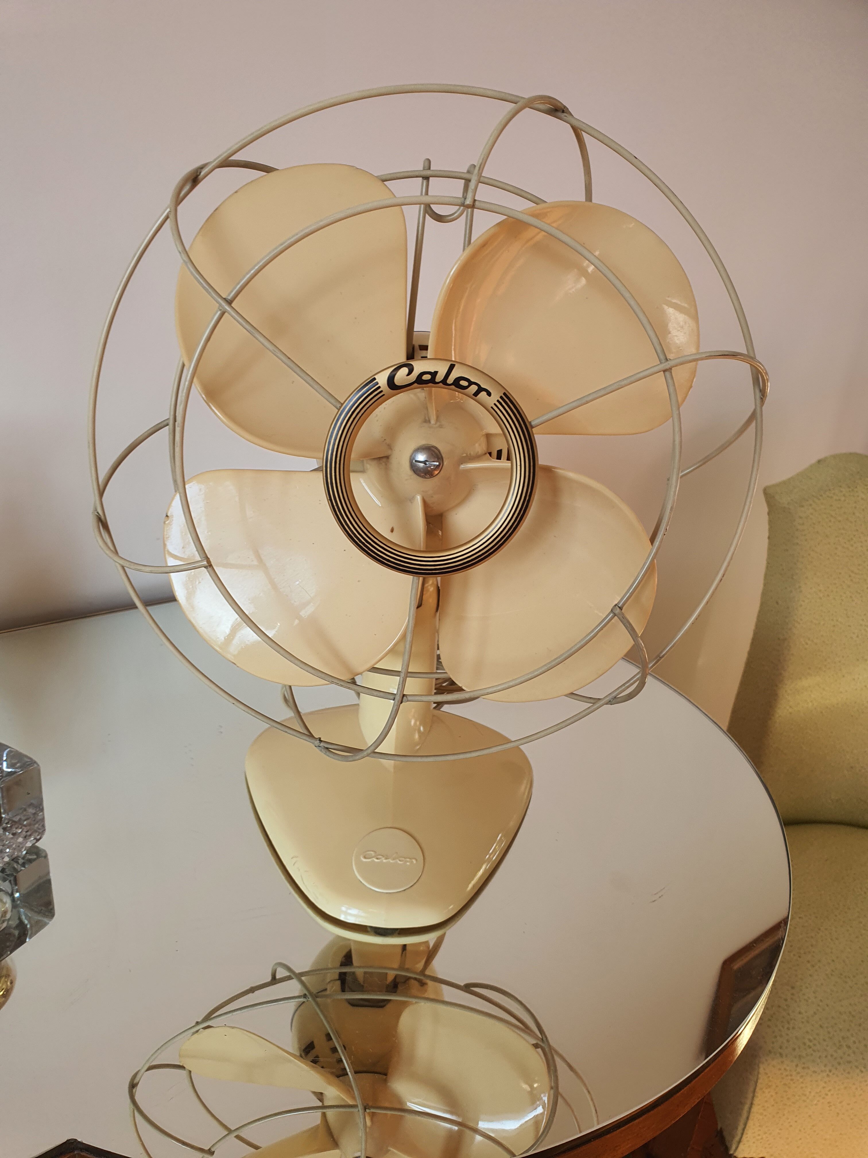 Fan