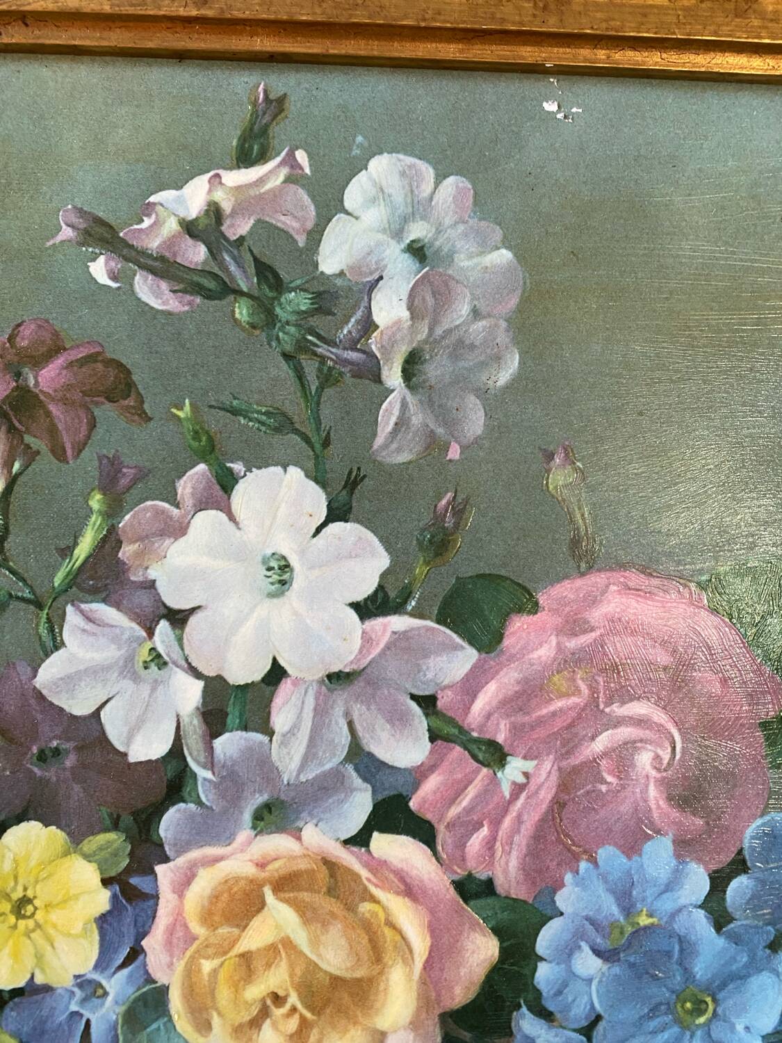 Bouquet of flowers signed Harold Clayton