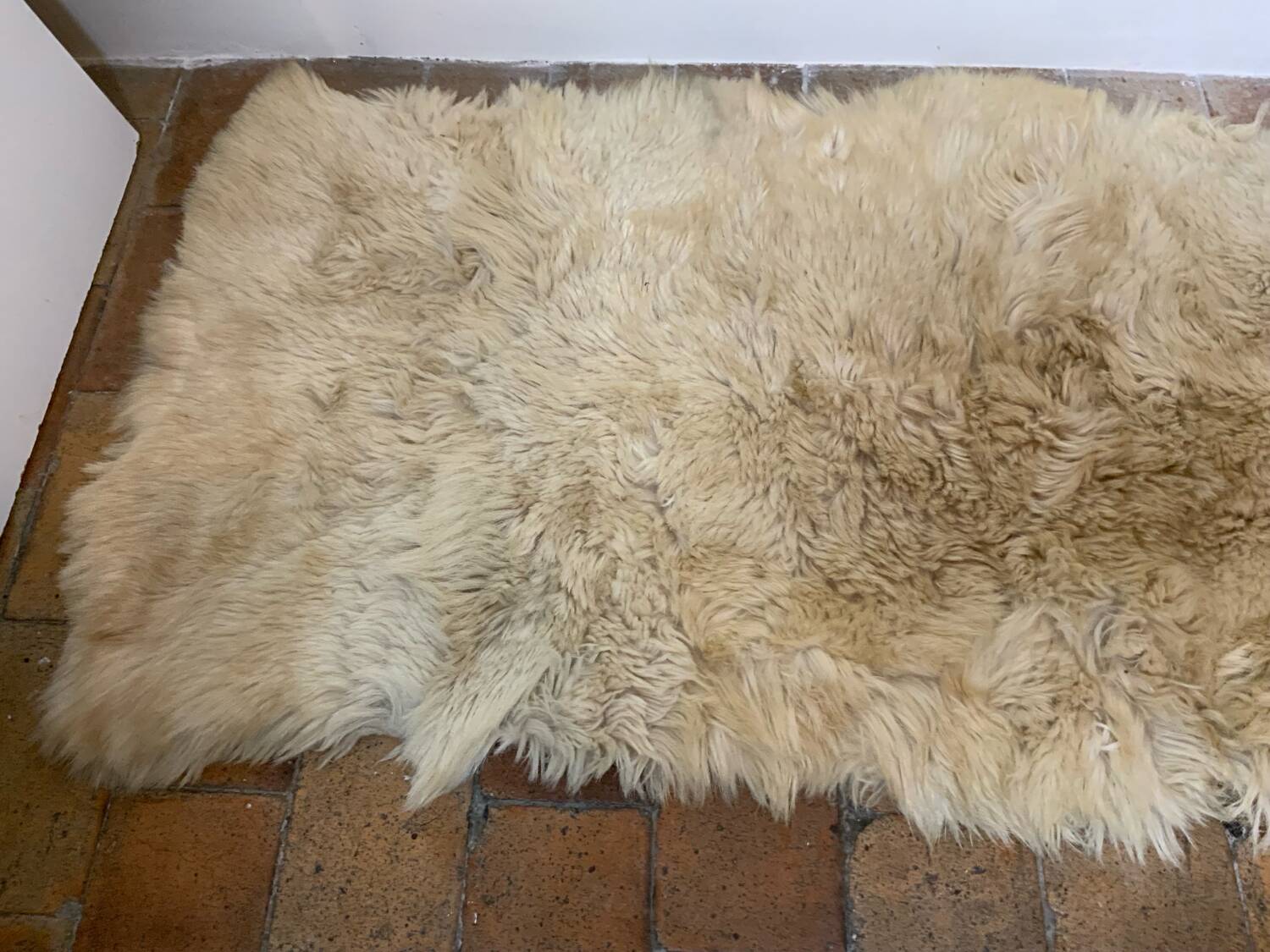 Goat skin rug