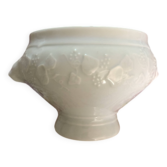 CNP Wild Ivy Bowl