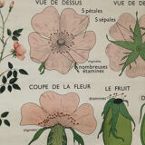 Old double-sided Rossignol school poster