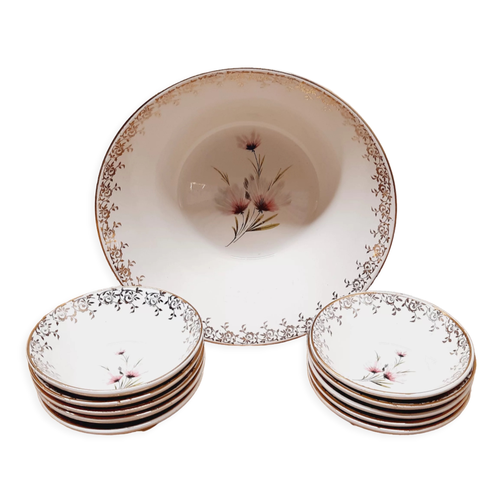 Set salad bowl and 8 Sarreguemines cups