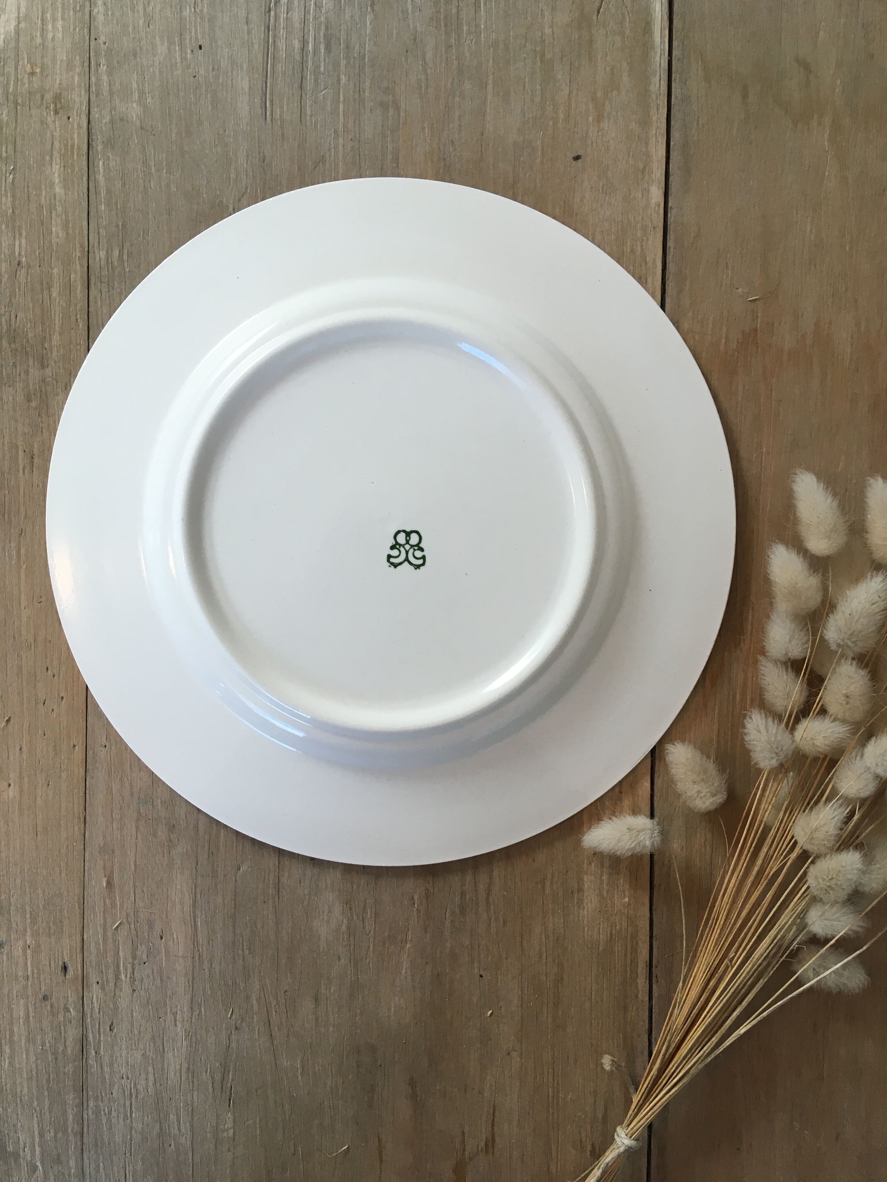 Flat plates blue leaves