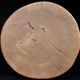 African Art Africa - Antique Wooden Stool West Africa - 21 Cms
