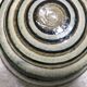 Ceramic Art Pot or Box with Lid from Søholm Stoneware, Denmark 1960s