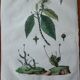Lot of 9 old naturalist boards