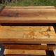Antique Louis Philippe chest of drawers in solid walnut.