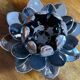 Vintage water lilies 3 silver ceramic dishes